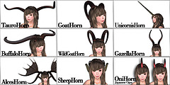 K_gs Horns