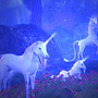 Unicorns