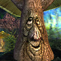 happy trunk