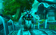 Druid - Moonkin Form