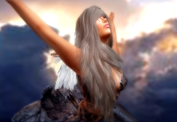 Broken Wings