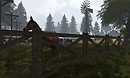 Ponderosa Ranch