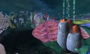 underwater coral reef beneath a shipwreck - Torley Linden