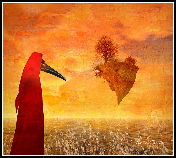 The Watcher