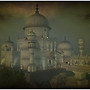 110205w_and_b_taj02