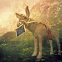Donkey_001c