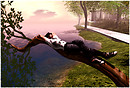Relaxing