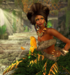 Jungle dream