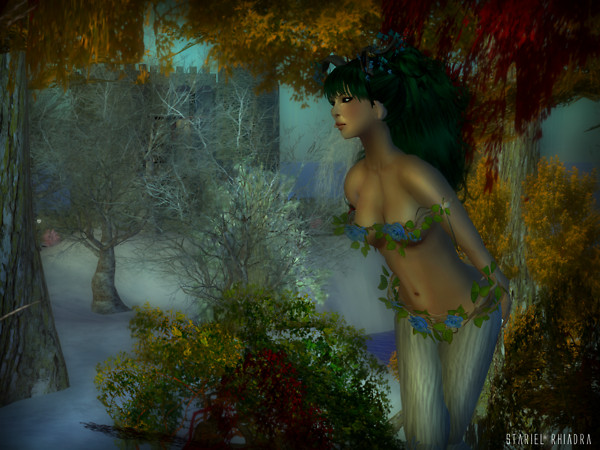 Heartsong Forest II