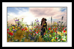 The Secret Garden