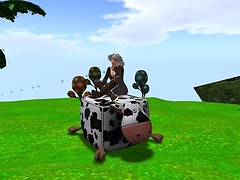 Love my new cow chair! - chimera.cosmos