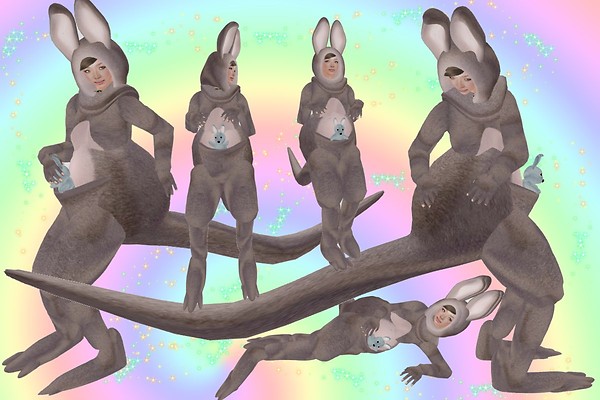 kangroo