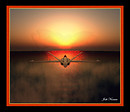 Spirit in the Sky