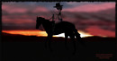 "Back in the saddle, again, out where a friend is a friend..."