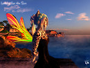 Looking for the Sun