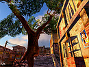 Lighted Dusk