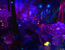 Bentham Hollow Night...