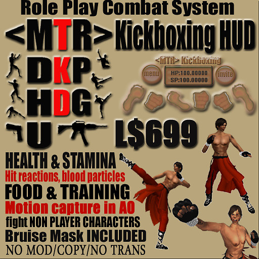 MTR-kickboxing-HUD