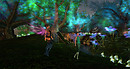 Forest of light M&qL @ the Faire