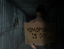 Homophobia is gay