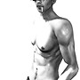 solid muscle 2011