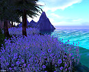 Blue on Blue...