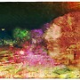 Bonaire_01