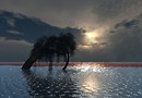 Pensieri d'Acqua_010