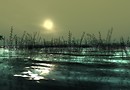 Pensieri d'Acqua_006