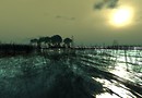 Pensieri d'Acqua_005