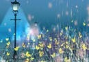 Magic_007