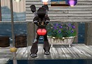 Monkeying around - 1354