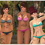 110505 PARADISYS01