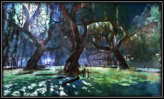 Swamp Under the Moonlight
