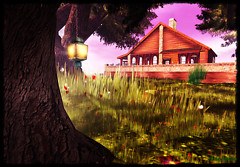 Casina