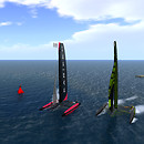 wildcat race2
