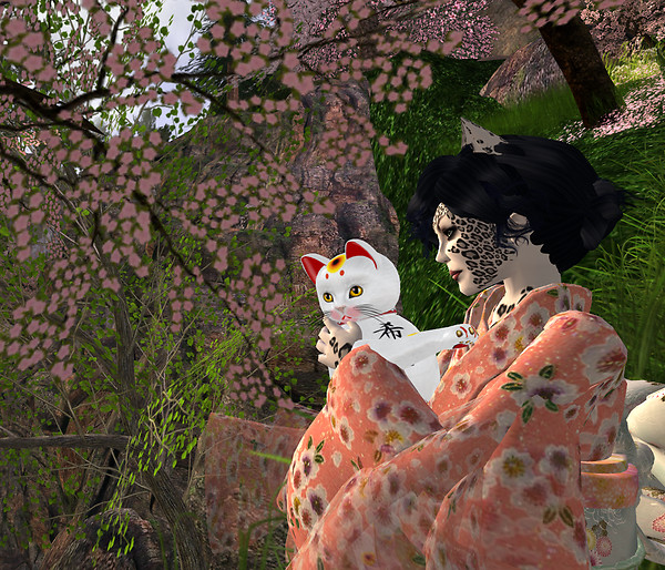 Petals & Purrs