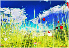 Cielo d'estate
