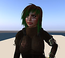 vanilla-shape1_Snapshot_008
