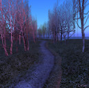 Lonely Road