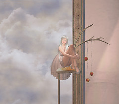 20110520
