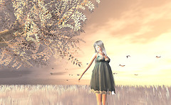 HUMANOID