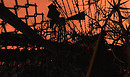 malady-bog-home___008