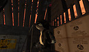shift-Snapshot_001
