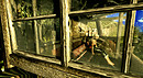 Snapshot_494b
