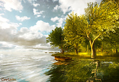 Spring Morning