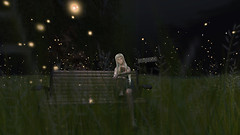 firefly