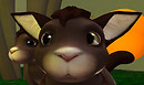 meeroos2-Snapshot_003