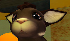 meeroos2-Snapshot_002