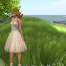 Spring Days 3